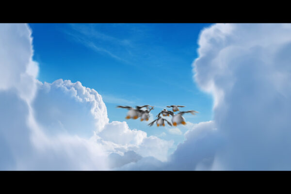 s0050_0030_mockup_sm_v03b
